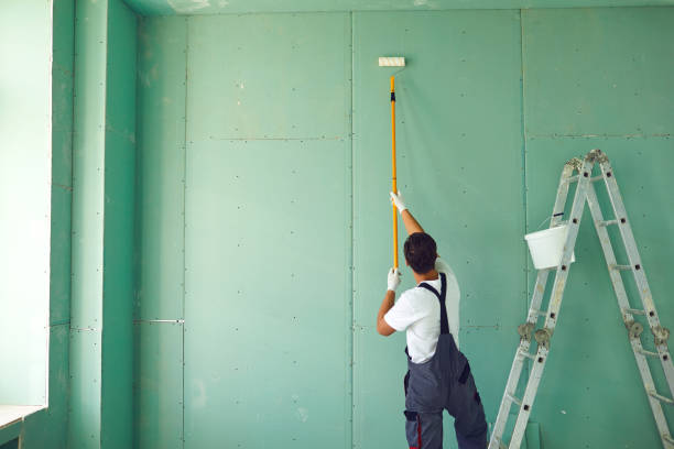 Best Attic Mold Removal  in West Samoset, FL