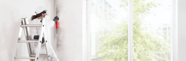 Best Mold Remediation for Healthcare Facilities  in West Samoset, FL